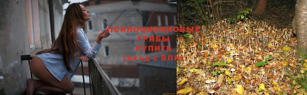 Альфа ПВП Надым