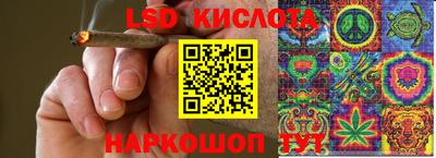 индика Пенза