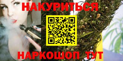 индика Пенза