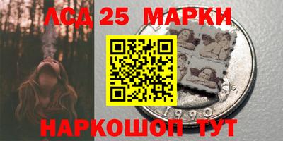 индика Пенза
