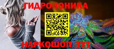 твердый Партизанск
