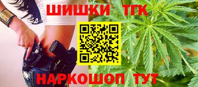 индика Пенза