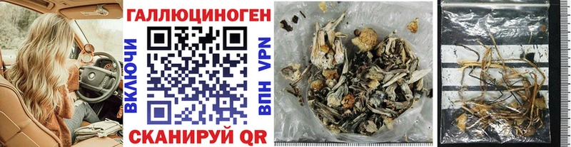 Псилоцибиновые грибы GOLDEN TEACHER Партизанск