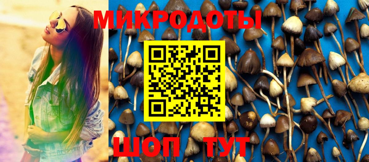 Галлюциногенные грибы Psilocybe  Вход с VPN  Партизанск  Псилоцибиновые грибы мицелий 